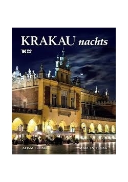 Krakau nachts