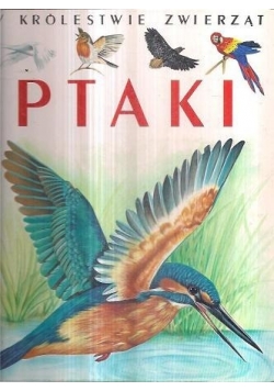Ptaki