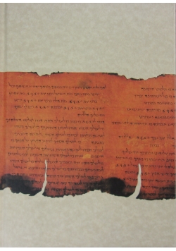 The  dead sea scrolls