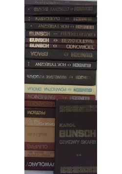 Bunsch ,zestaw 20 książek