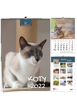 Kalendarz 2022 B3 7 plansz Koty