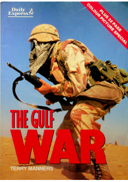 The Gulf War