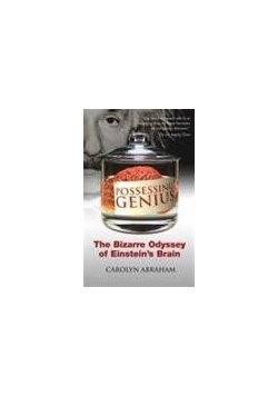 The bizzare Odyssey of Einstein's Brain