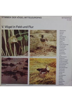 Stimmen der Vogel mitteleuropas,płyta winylowa