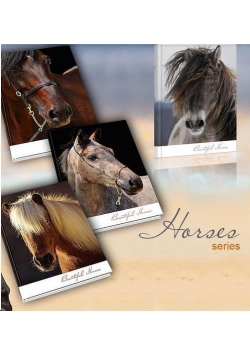 Brulion A4/96K kratka OT 1088 Horses (5szt)