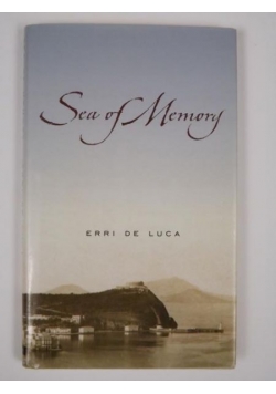 Sea of Memory