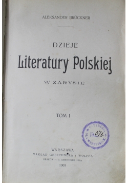 Dzieje literatury polskiej w zarysie tom I 1903 r.