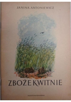 Zboże kwitnie