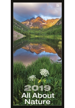 Kalendarz 2019 All About Nature Ex