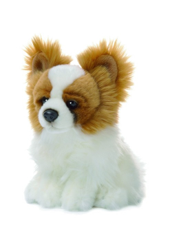 Papillon 19 cm