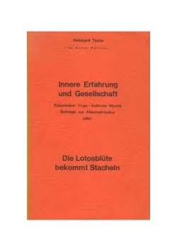 Innere Erfahrung und Gesellschaft