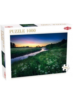 Puzzle 1000 Letnia noc