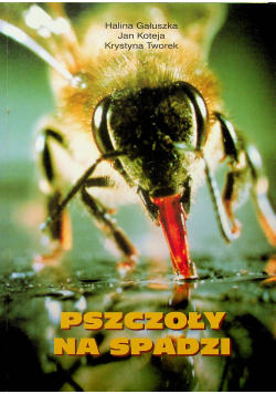 Pszczoły na spadzi