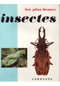 Les plus beaux insectes