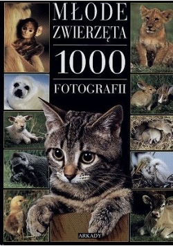 Młode zwierzęta 1000 fotografii