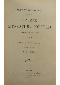 Dzieje literatury polskiej 1891 r.