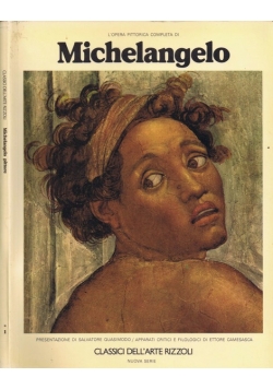 Michelangelo pittore
