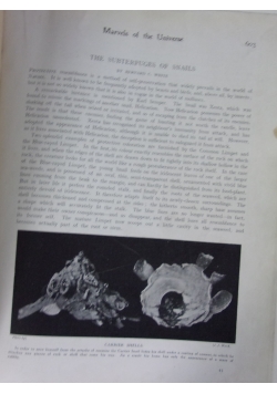 Marvels of the Universe, vol. 2, 1920r.