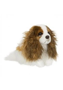 King Charles Spaniel 26 cm ACP