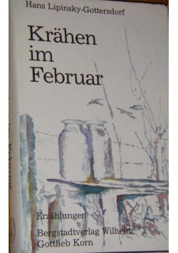 Krahen im Februar