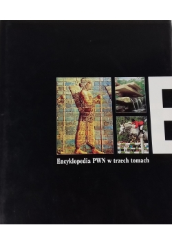 Encyklopedia PWN w trzech tomach, tom 3
