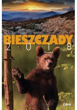 Kalendarz 2018 Bieszczady