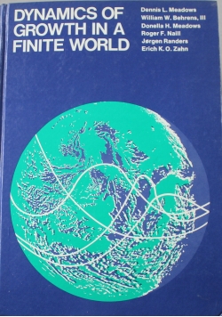 Dynamics of Growth in a Finite World