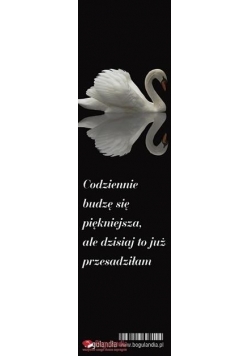 Zakładka do książki - Codziennie budzę się...