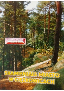 Skamieniałe miasto w Ciężkowicach