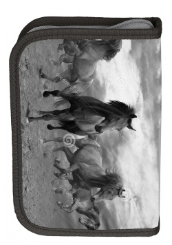Piórnik szkolny Paso Horse