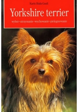 Yorkshire terrier