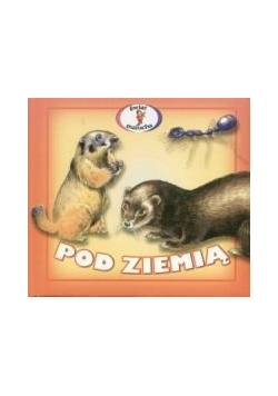 Harmonijka - pod ziemią