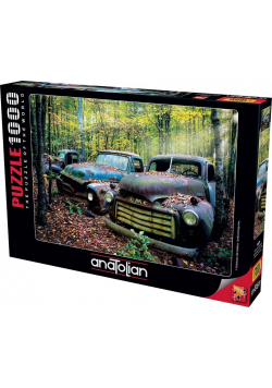 Puzzle 1000 Pozostałości z przeszłości