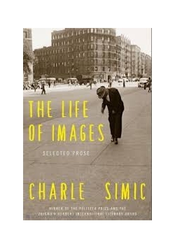 The life of images