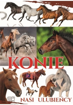 Konie nasi ulubieńcy