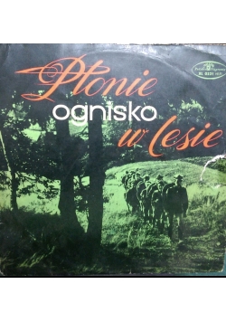 Płonie ognisko w lesie, Płyta winylowa