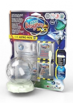 Aqua Dragons in Space zestaw podstawowy