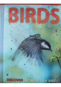 Birds Discover the World of Birds