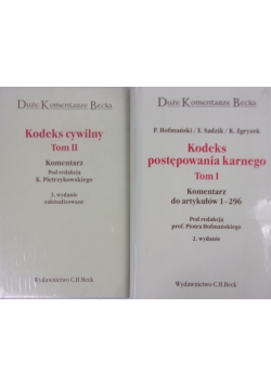 Kodeks postępowania karnego/ Kodeks cywilny