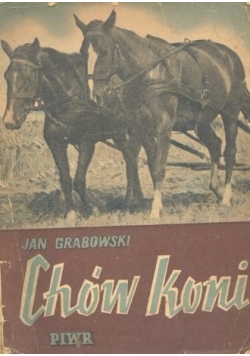Chów koni,1950 r.