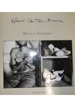 Mexican notebooks