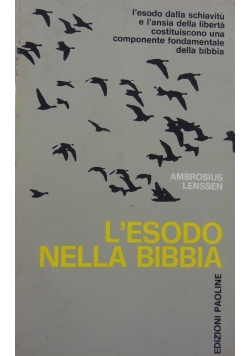 L'esodo Nella Bibbia