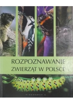 Rozpoznawanie zwierząt w Polsce