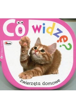 Co widzę? Zwierzęta domowe