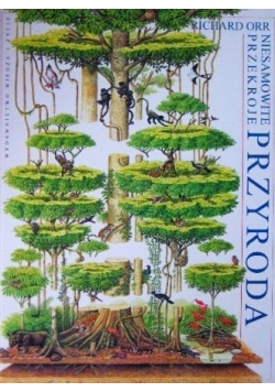 Niesamowite przekroje przyrody