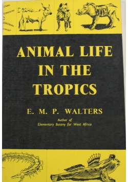 Animal life in the Tropics