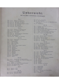 Atlas zur theorie und Praxis des orgelbaus, ok 1888 r.