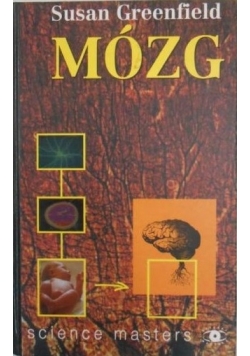 Mózg
