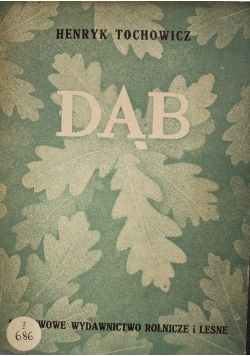 Dąb