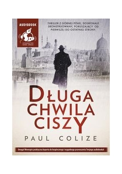 Długa chwila ciszy,Płyta nowa